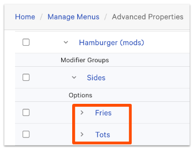 Advanced properties page showing an example item