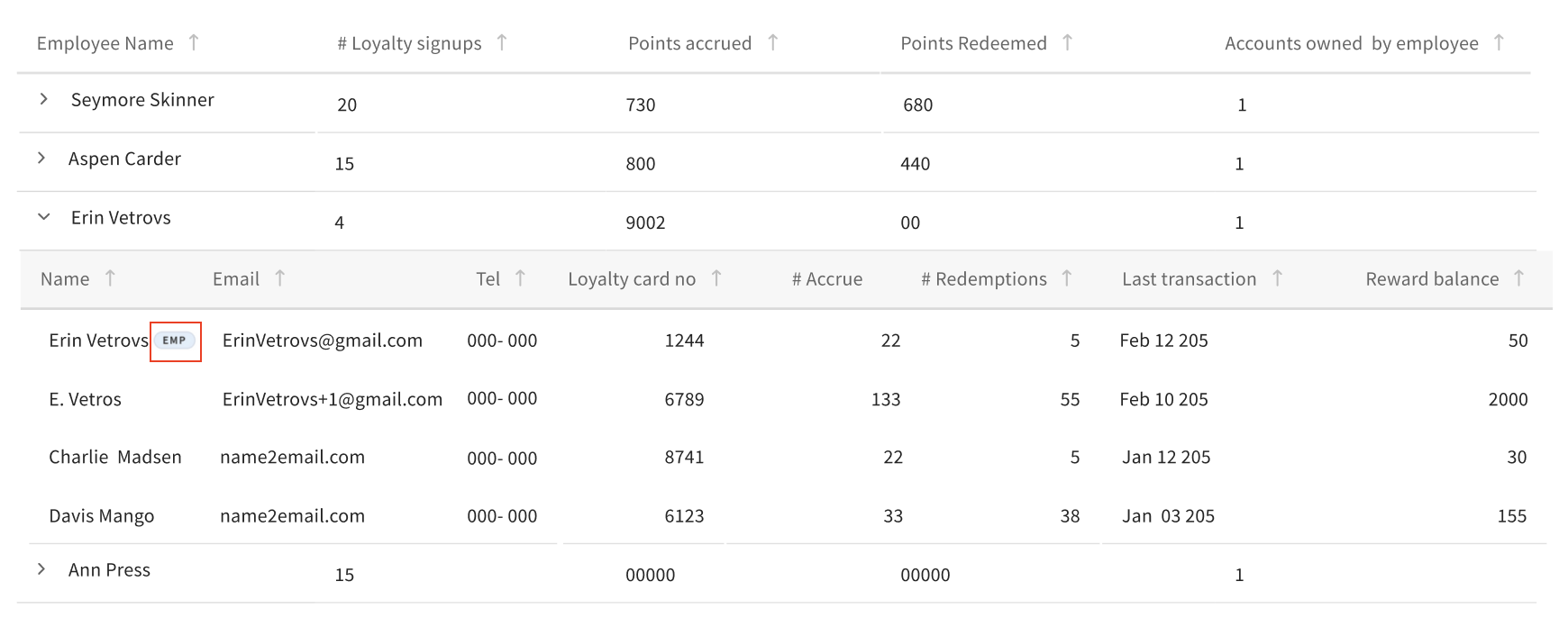 screenshot of Loyalty Misuse Report with a row of information including an employee named Erin Vetrovs and a light blue EMP tag next to their name
