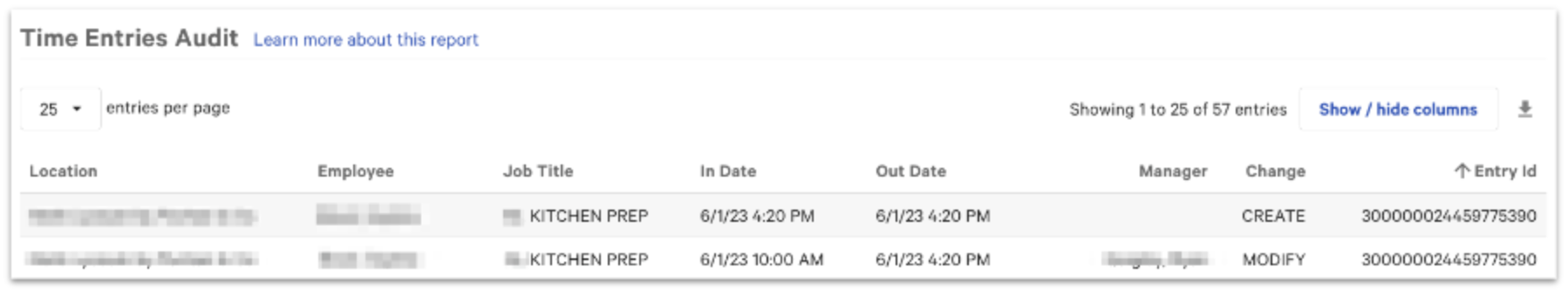 Example of an edit on the Time Entry Audits report